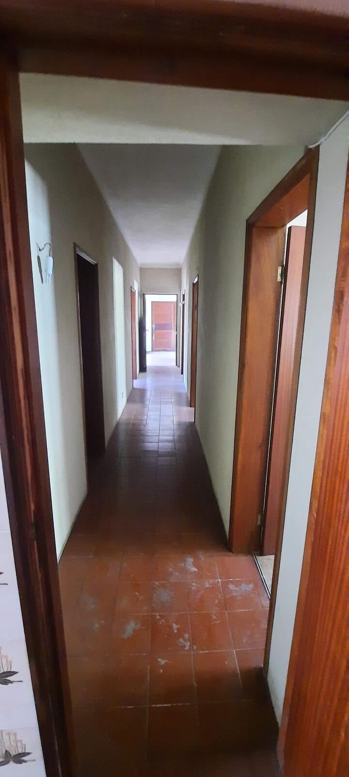 T2 Solar, antes 3